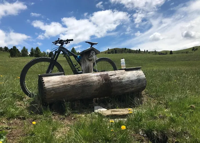 Sunny * Арабба